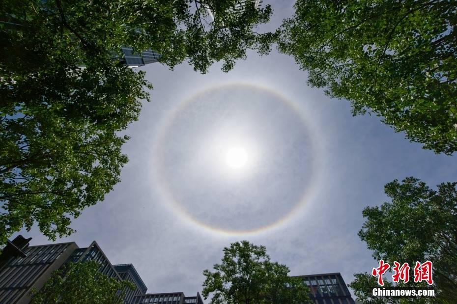 上海天空现巨大日晕 光圈完整清晰