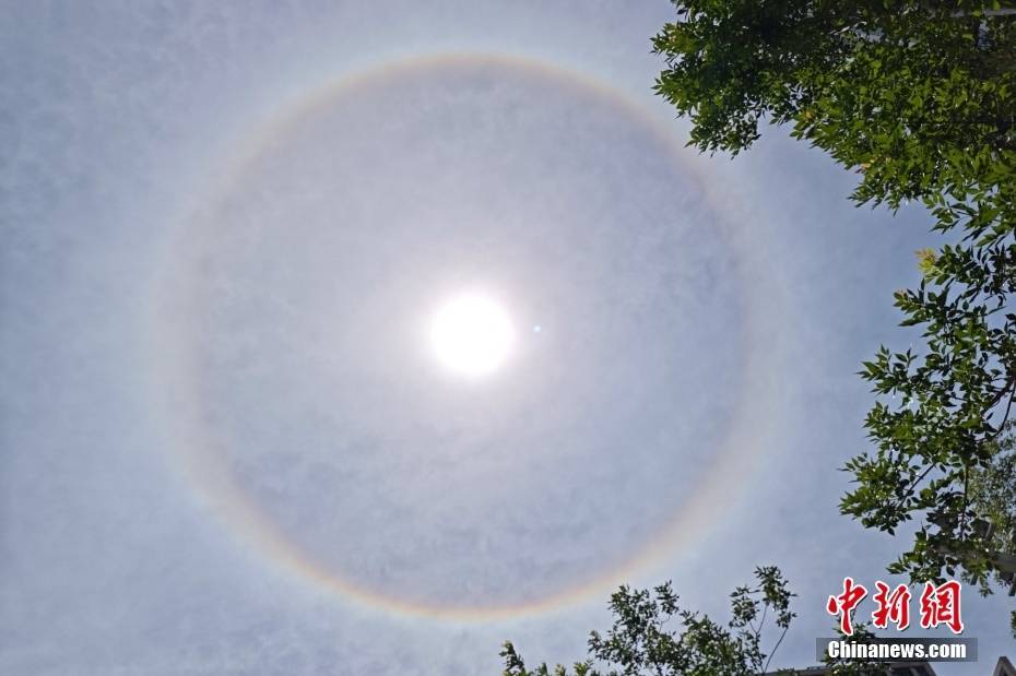 上海天空现巨大日晕 光圈完整清晰