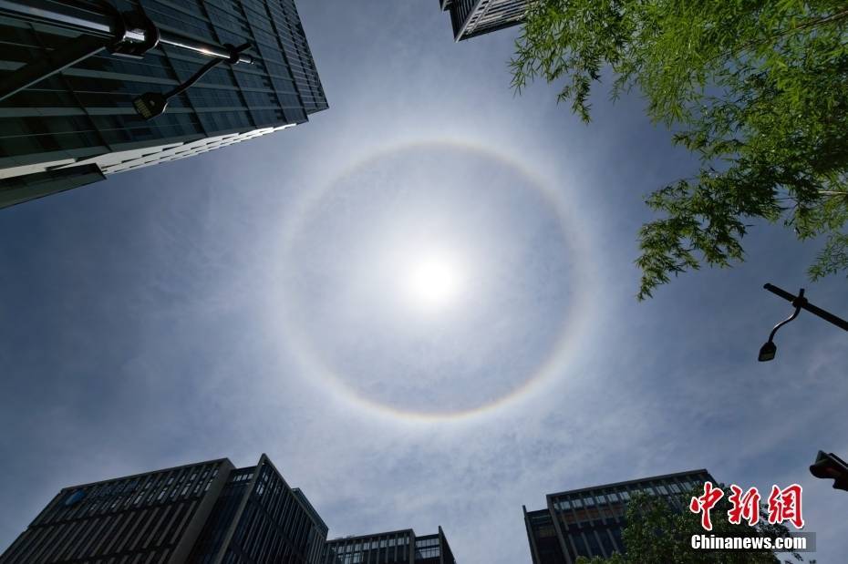 上海天空现巨大日晕 光圈完整清晰