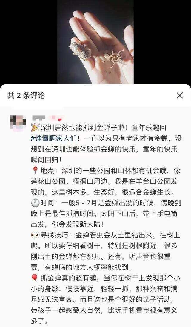 又到“知了猴”大量出现的季节，警惕：不是人人都适合吃
