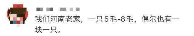 又到“知了猴”大量出现的季节，警惕：不是人人都适合吃