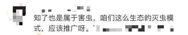 又到“知了猴”大量出现的季节，警惕：不是人人都适合吃