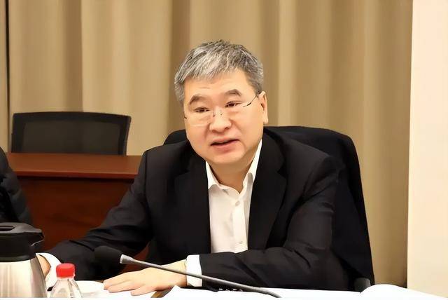 中央批准，三“虎”被开除党籍