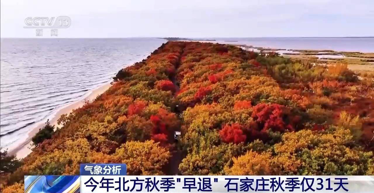 多地秋天“迟到早退” 秋季为何越来越短了？