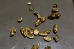 “一盆就出了5克多”！一河道多人凌晨冒严寒淘金，当地紧急回应