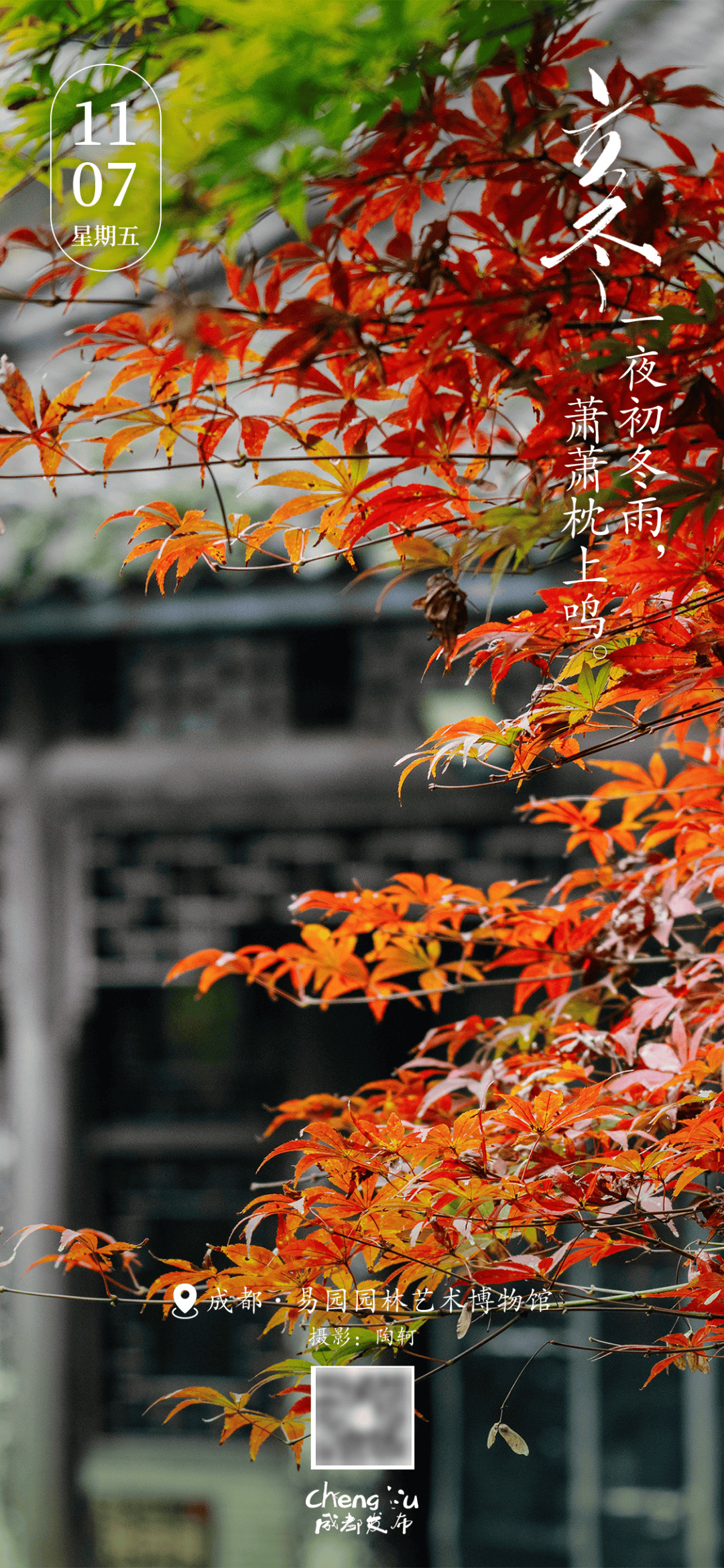 早安,成都!今日迎接立冬