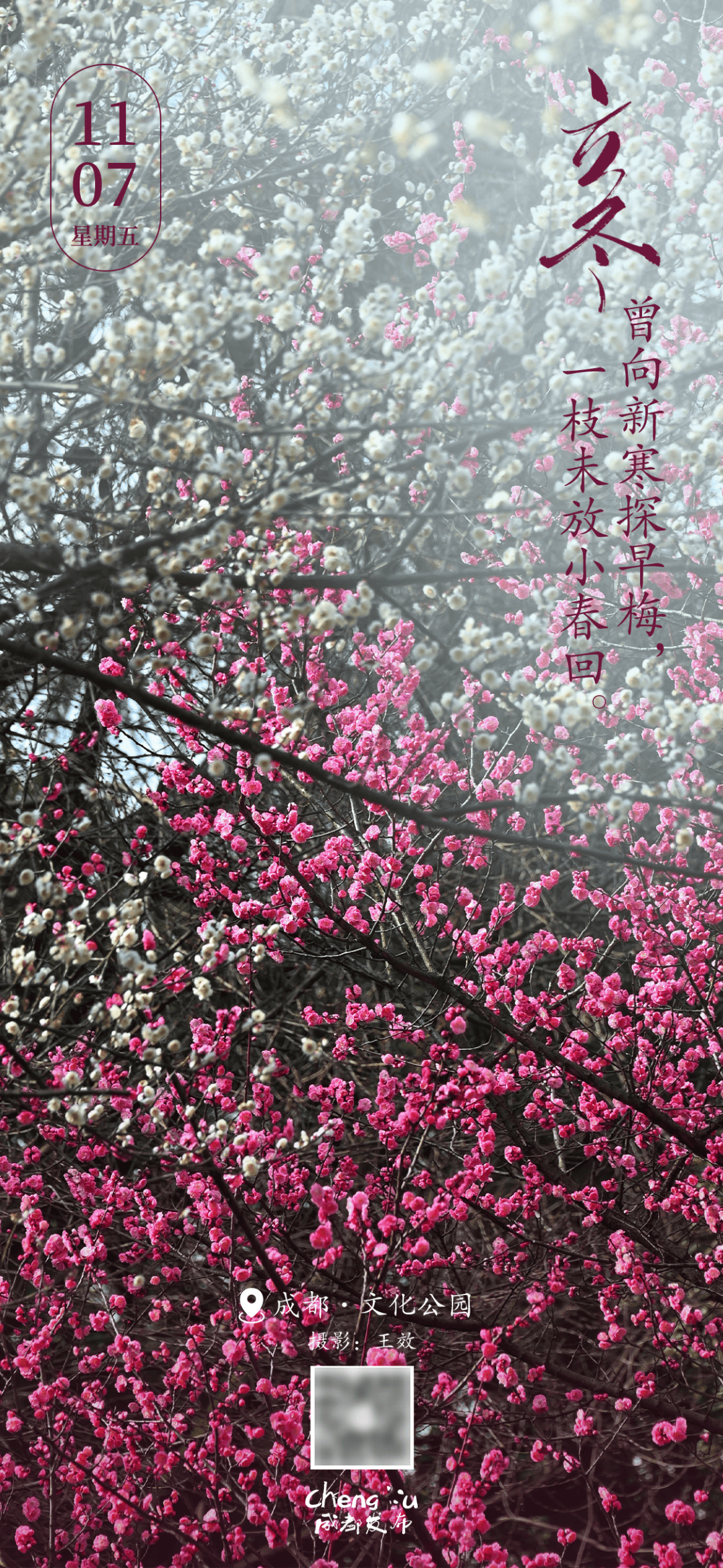 早安,成都!今日迎接立冬