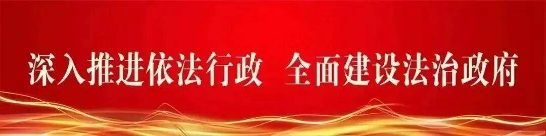 如何理解到二〇三五年我国人均国内生产总值达到中等发达国家水平
