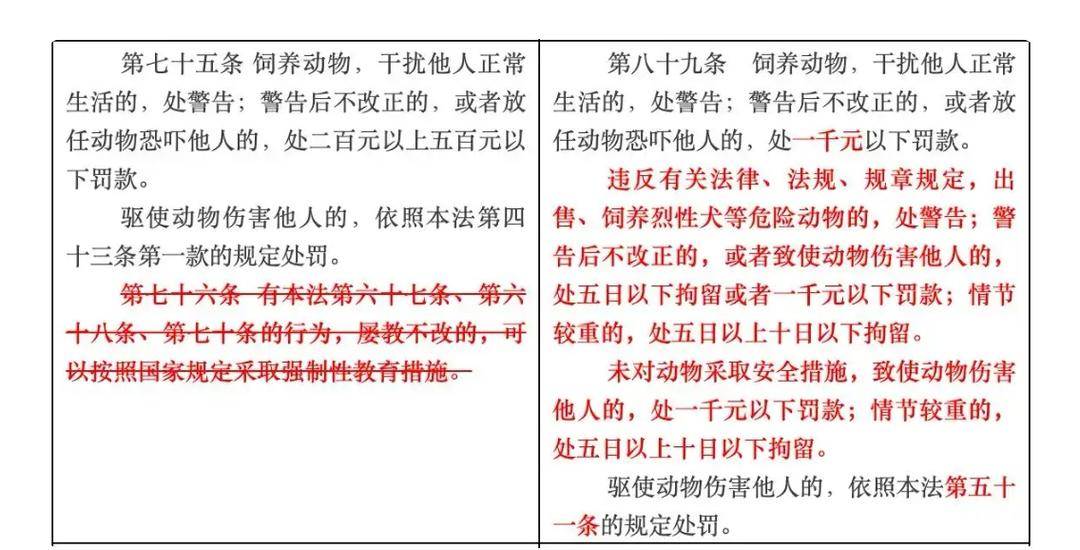 “史上最严”养犬新规今起施行 养犬人自研遛狗神器防被讹｜封面深镜
