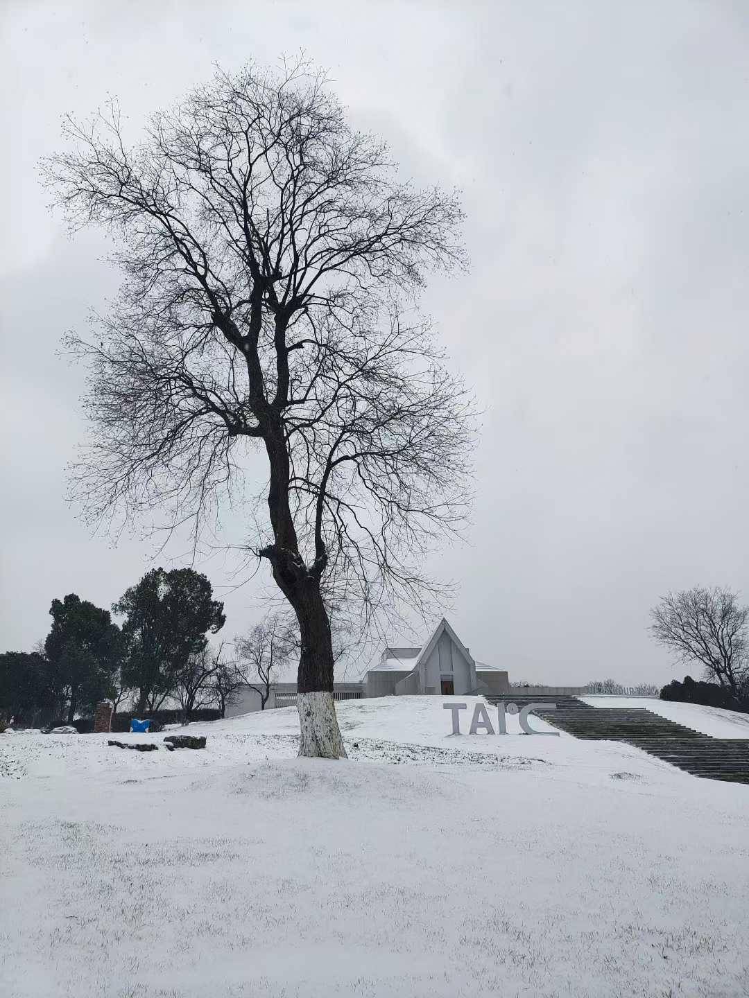 低至-8℃！武汉最大积雪深度7厘米！湖北多地降下大到暴雪，雪还要下多久？