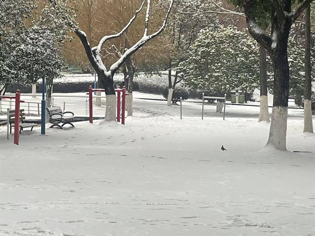 低至-8℃！武汉最大积雪深度7厘米！湖北多地降下大到暴雪，雪还要下多久？