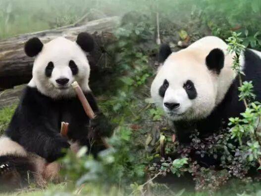 今天限行尾号有变!北京即将大风降温!过去三天,北京超128万人次都在做这件事! | 朝闻北京